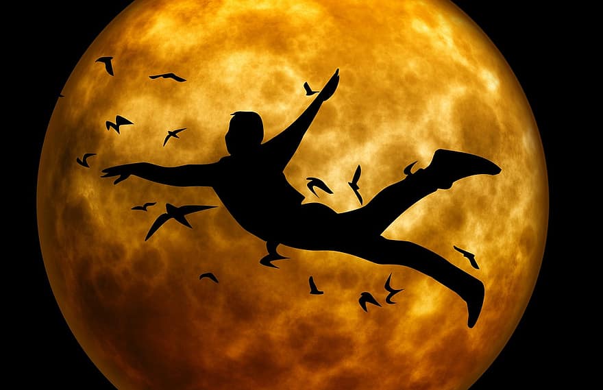 aften, måne, nat, måneskin, mand, silhuet, fugle, flyde, flyvende, bevægelse
