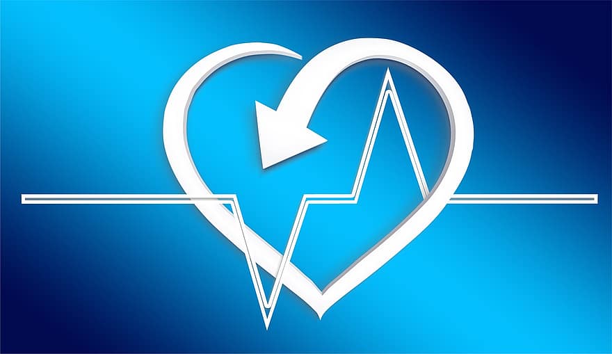 hjärta, hälsa, puls, hjärtfrekvens, skydd, vård, undersökning, medicinsk