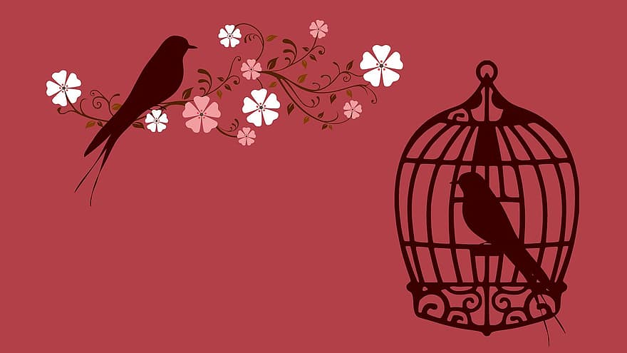 pták, ptačí klec, klec, lovebirds, Červené, milovat, dom, květ, květiny, ranke, vězněn