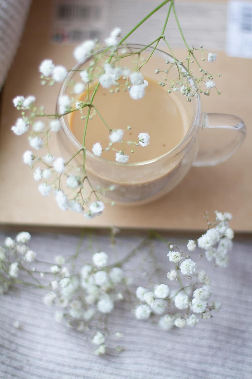 καφές, λουλούδια, ανθίζω, άνθος, βοτανική, κούπα