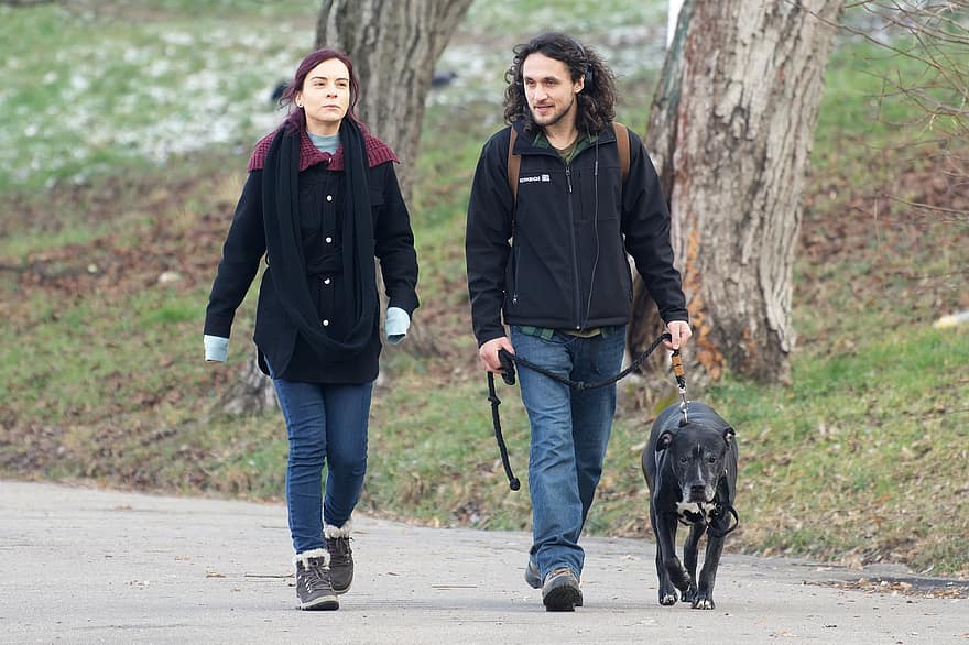 Couple, Friendship, Happy, Dog, Pet, Leash, Walking, Together, Park