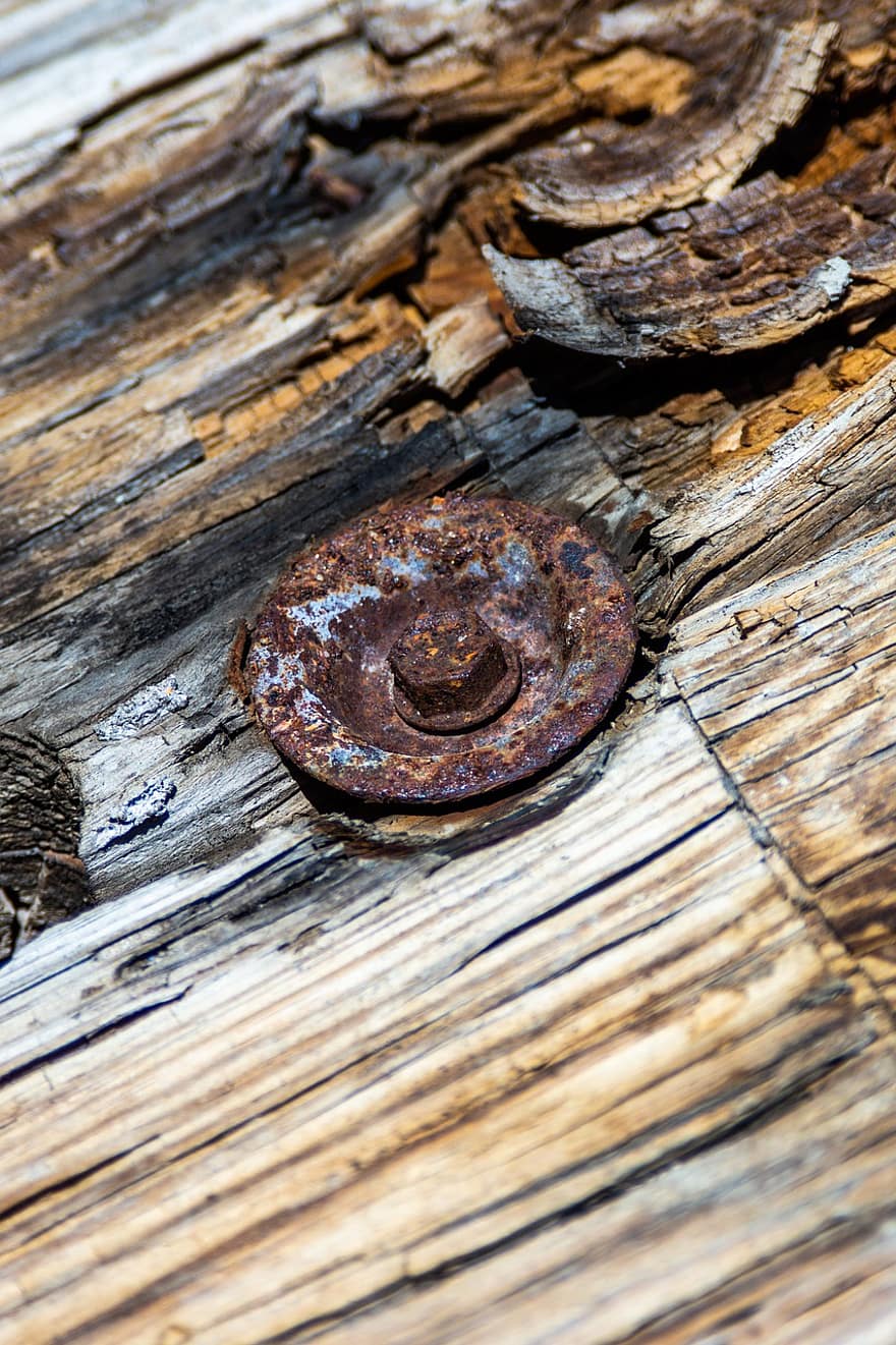 Bolt, Grain, Old, Rust, Rusted, Rustic, Steel, Texture, rusty, metal, close-up