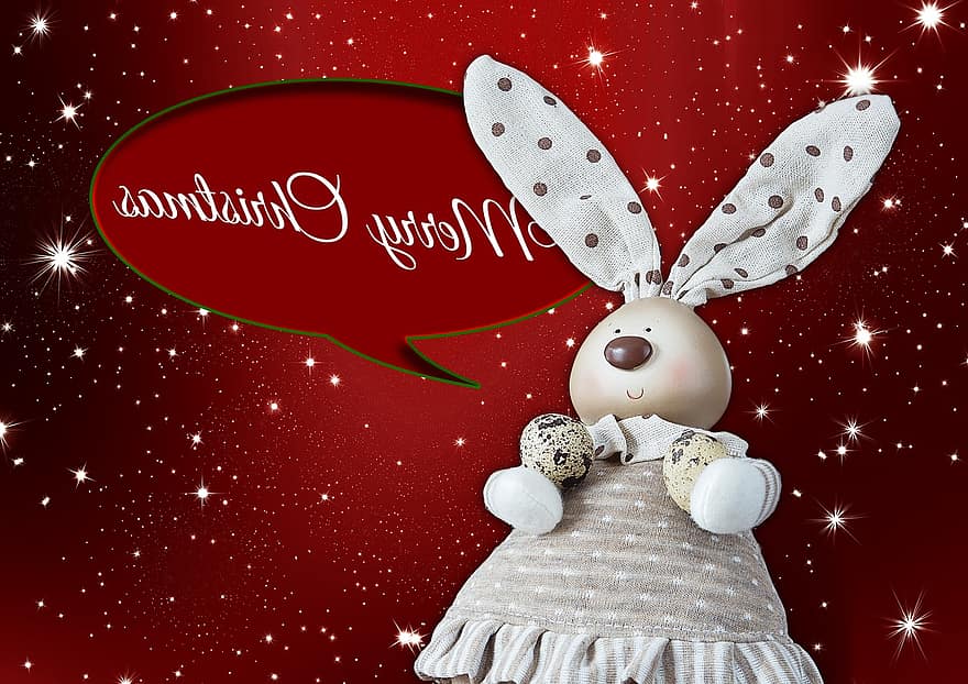 рождество, заяц, каникулы, Привет, Пасхальный заяц, обман, шутка, смешной, симпатичный, поздравительная открытка, рождественское приветствие