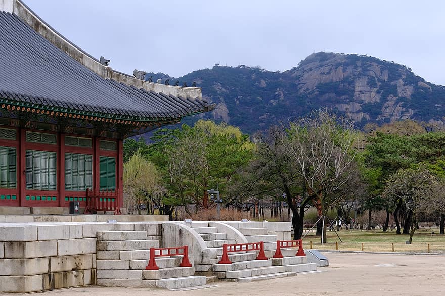 palác, stromy, palác gyeongbok, hanok, hora, zakázané město, Korejská republika, architektura, slavné místo, kultur, cestovat
