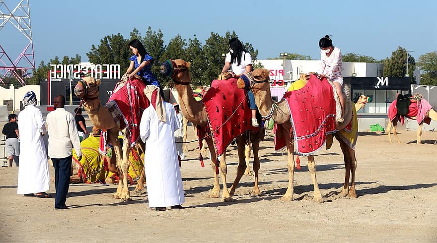 sivatag, tevék, turisták, Katar túra, kultúrák, férfiak, hagyományos fesztivál, verseny, ló, ünneplés, hagyományos ruházat