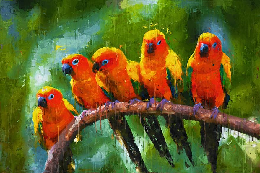 uccelli, pappagallo, pittura, arte, parrocchetto, pappagallino, piume, animale