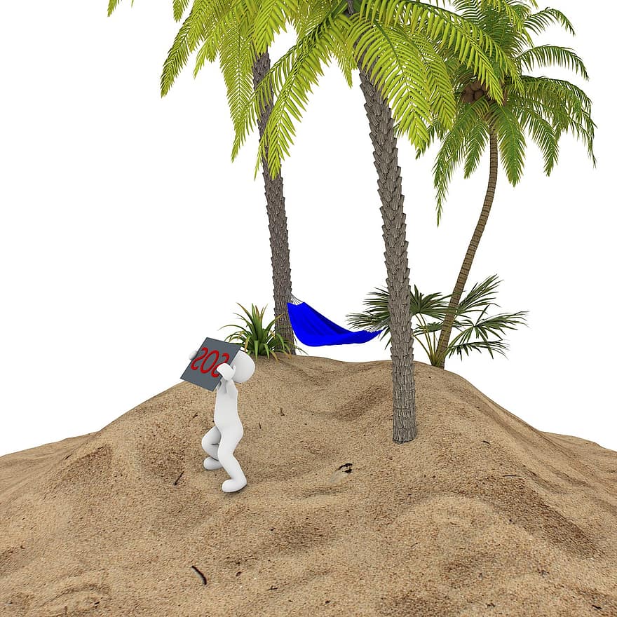 palma, vacanze, spiaggia, Noce di cocco, estate, albero