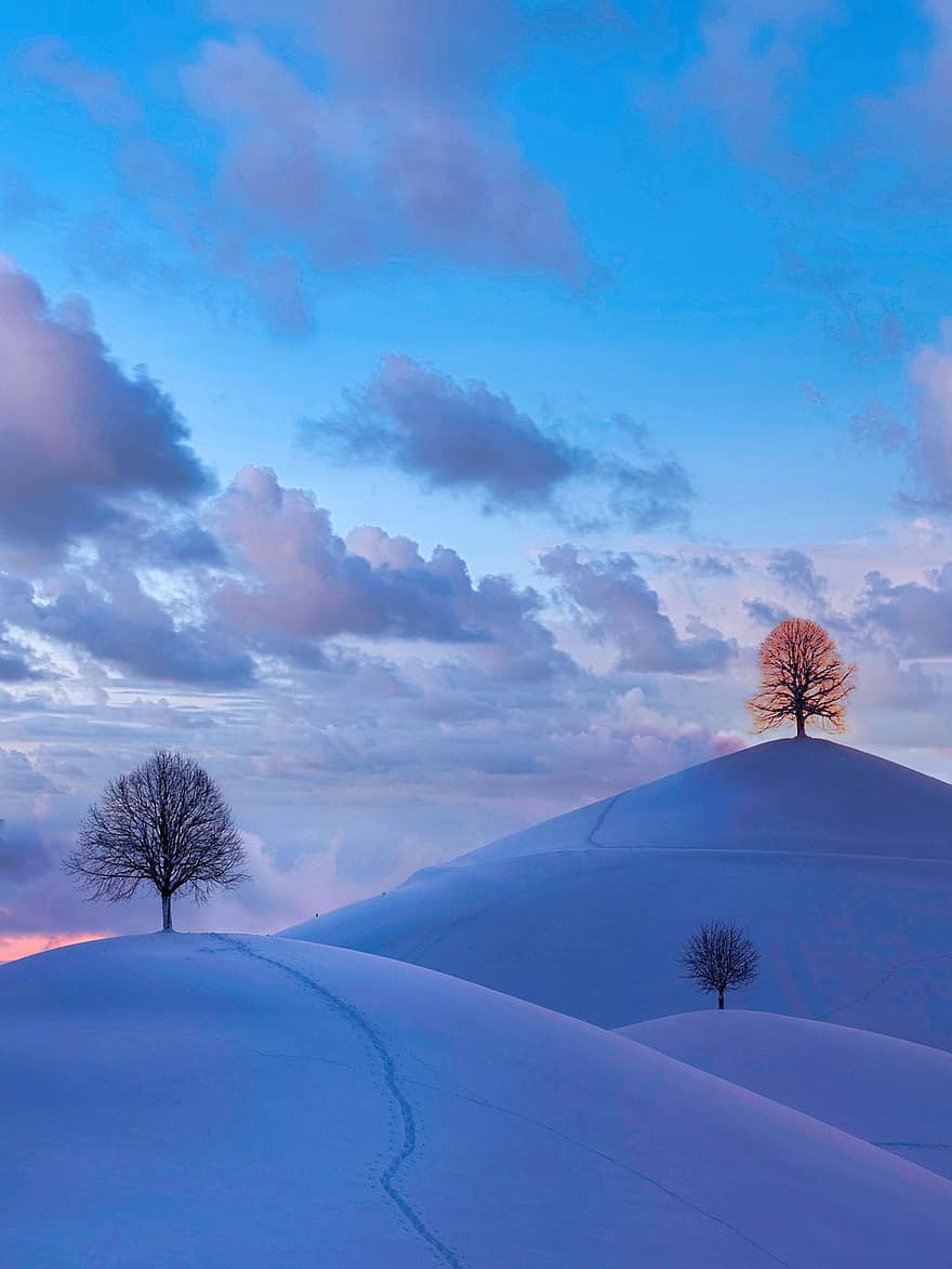 debesis, kalni, ziemā, fona, tapetes, saulrieta, sniegs, koki, sala, ziemas ainava, ainavu