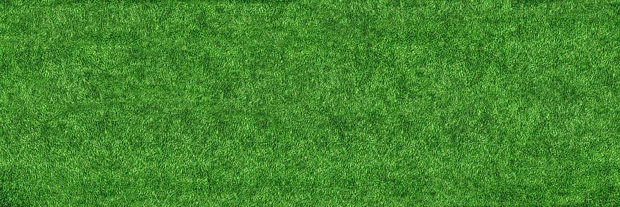 rumput, alam, tanah, halaman rumput, padang rumput, bidang, spanduk, gambut, latar belakang, pola, warna hijau