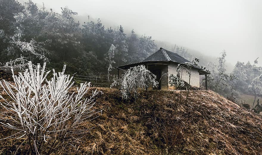 Mountain, Foggy Landscape, Cold Weather, Vietnam, Landscape, rural scene, forest, hut, wood, farm, tree
