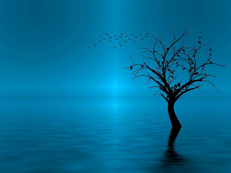 Nature, Fantasy, Color, Silhouette, Tree, Water, Light, Reflection