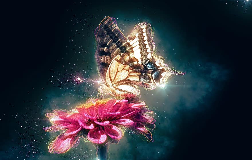 метелик, комаха, квітка, запилюють, запилення, крила, крила метелика, крилате комаха, лускокрилі, ентомологія, цвітіння