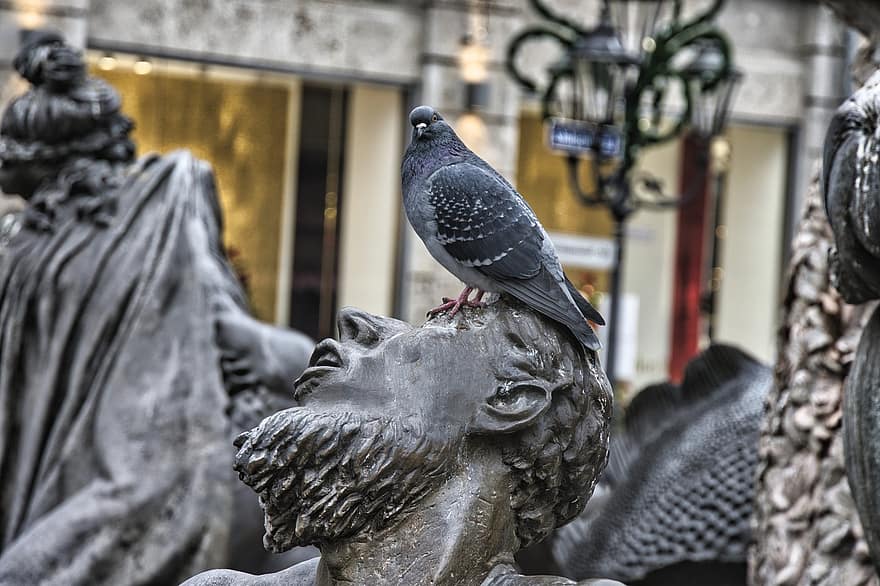 Pigeon, Bird, Statue, Sculpture, Monument, Feathers, Plumage, Animal, Avian