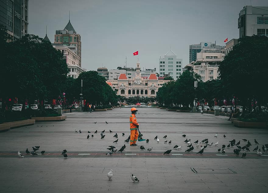 duvor, parkera, stad, fåglar, trottoar, utomhus, människor, stadshus, Ho Chi Minh, vietnam