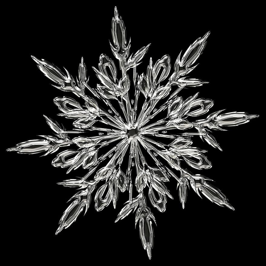 леден кристал, снежинка, лед, форма, скреж, студ, кристал, образуване на кристали, сняг, снеговалеж, звезда