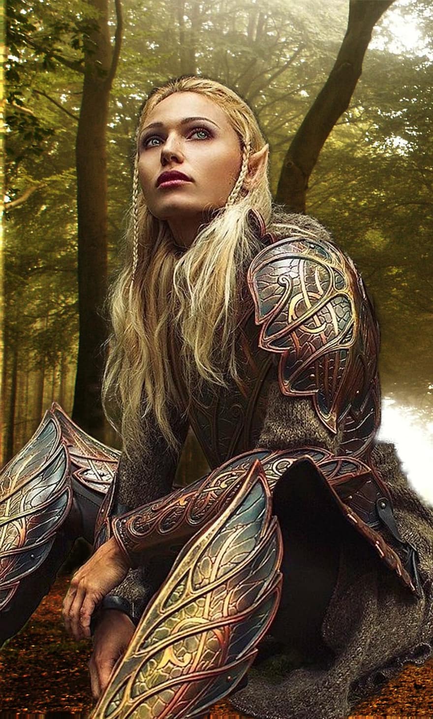 Fantazja, elf, wojownik, portret, kobieta, Las, kobiety, jedna osoba, piękno, dorosły, las
