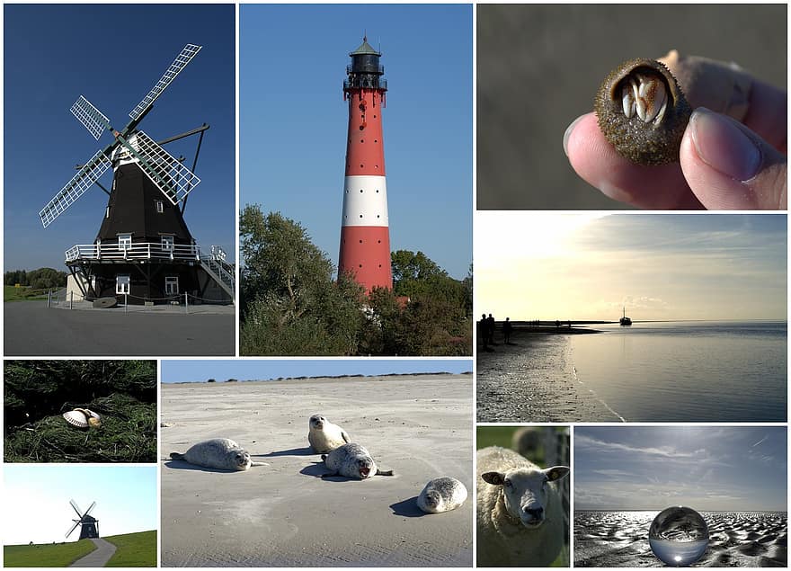 collage, vykort, Nordsjön, Nordfriesland, Pellworm, hav, fyr, Strand stol, gratulationskort, urval