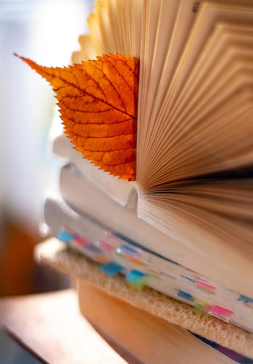 cărți, frunze, semn de carte, foaie uscată, teanc de cărți, carte deschisă, pagini, capitole, roman, citit, învăța