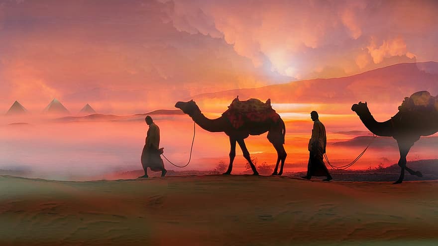 верблюды, заход солнца, пустыня, путешественники, Египет, животные, дюны, песок, песчаные дюны, Сахара, пейзаж