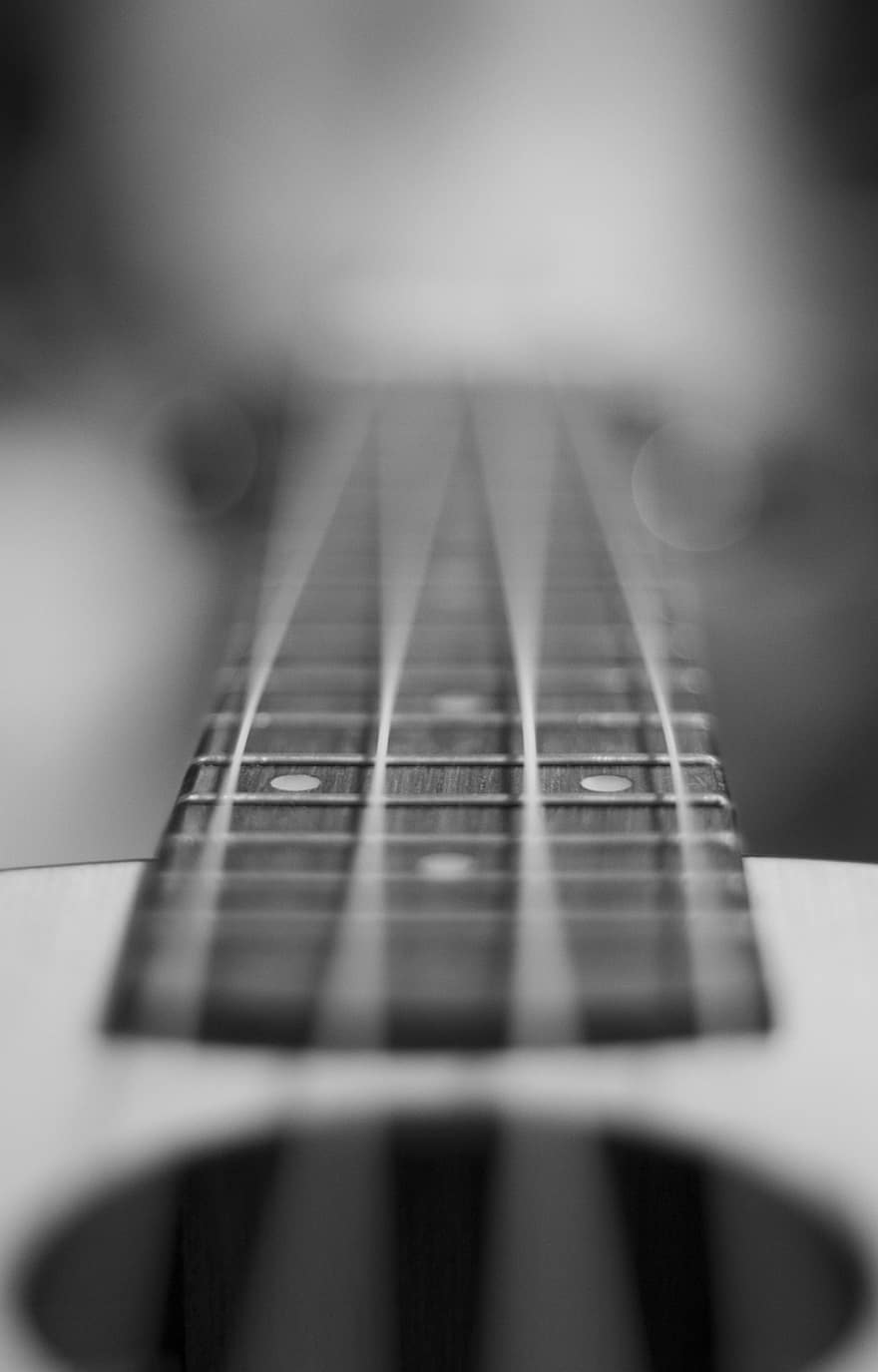 Guitar, Music, Instrument, Black And White, Strings, musical instrument, close-up, fretboard, acoustic guitar, string, string instrument