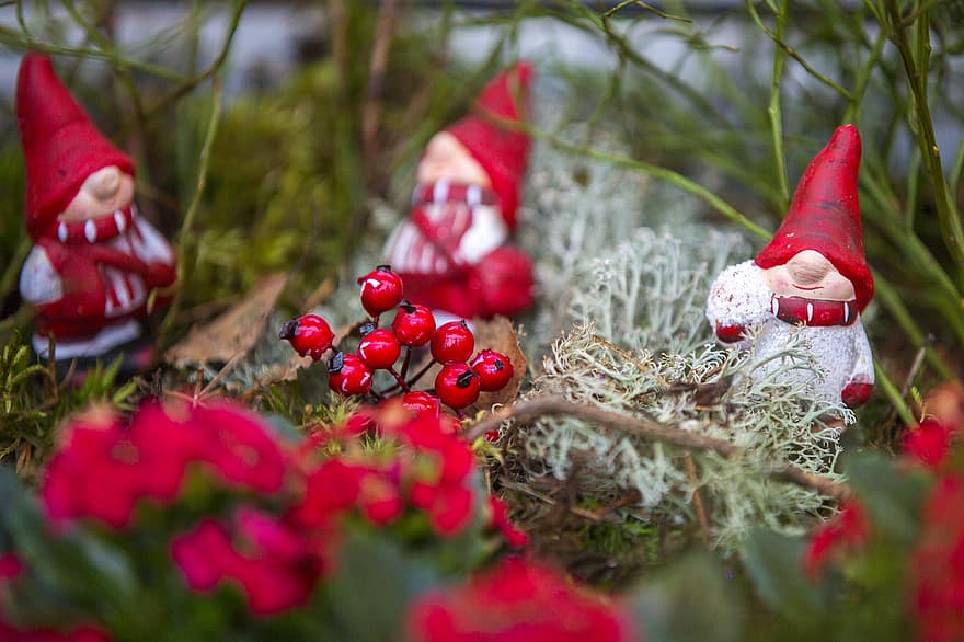 gnome, Nadal, festa, decoració