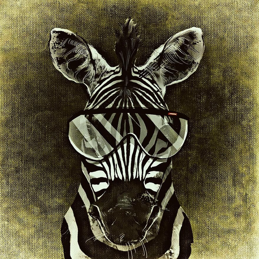 Zebra, Cool, Abstract, Funny, Glasses, Fun