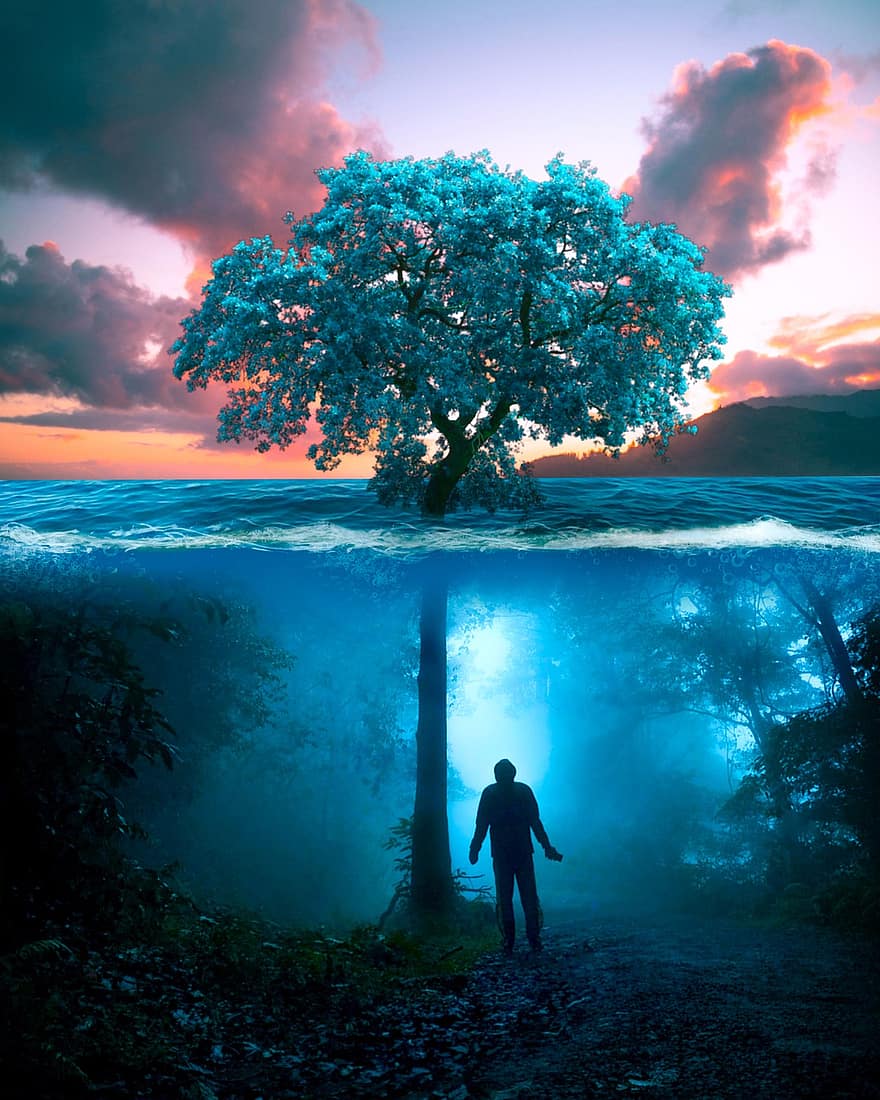 hombre, árbol, Oceano, olas, submarino, el maletero, fantástico, mar, agua, jardín, fantasía