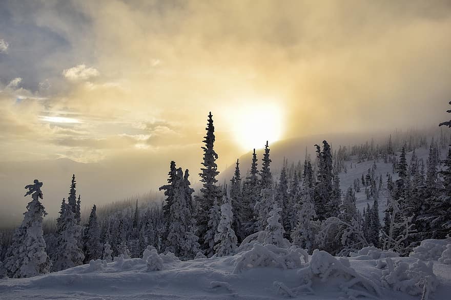 góry, drzewa, las, śnieg, mgła, światło słoneczne, słońce, światło, zimowy, krajobraz, Yukon
