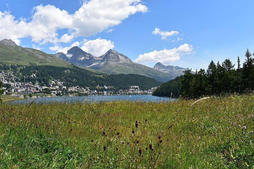 núi, hồ nước, ao, rừng, gỗ, núi cao, st moritz, Thụy sĩ