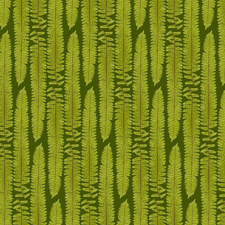 Farn, Textur, Natur, Blätter, Laufendes Muster, nahtlos, Irland, Hintergrund