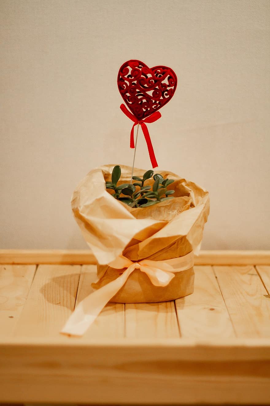 Pflanze, Herz, Valentinstag, Geschenk, Liebe, Überraschung, Holz, Herzform, Romantik, Dekoration, Feier