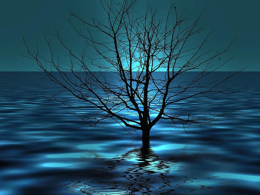 árvore, kahl, triste, lago, mar, onda, conta, leve, espelhamento, tristess, solidão