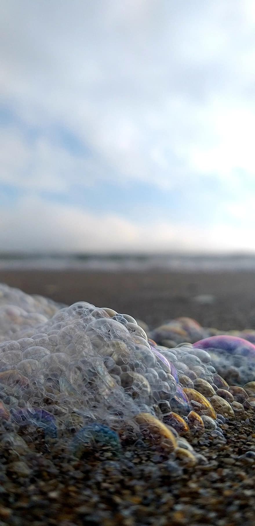 playa, espuma de mar, burbujas