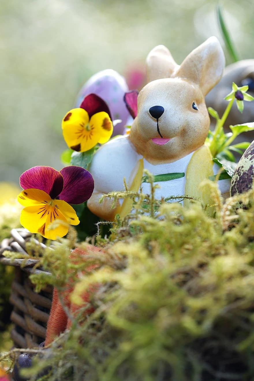 påskeharen, påske, påske dekorasjoner, dekorasjon, påske nest, påskefestival, påskeegg, stemorsblomst, gress, våren, kanin