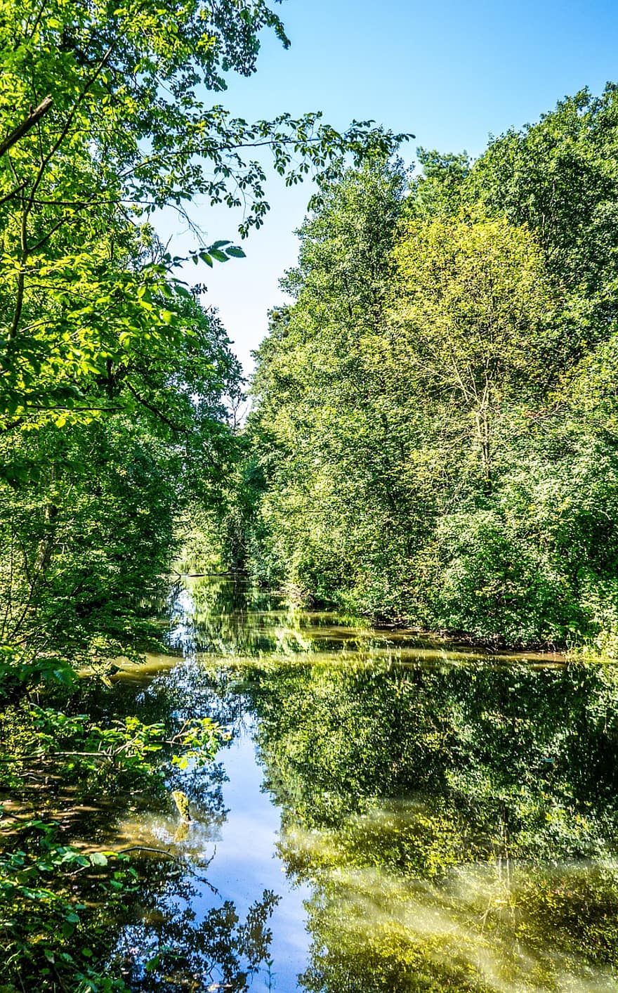 riu, Camí, bosc, aigua, reflexió, superfície de l'aigua, naturalesa, arbre, color verd, estiu, full