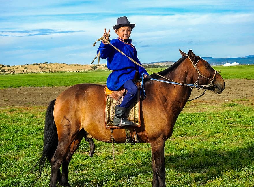 häst, ridning, mongoliet, unge, liten pojke, landsbygden scen, bruka, gräs, sport, hingst, ranch