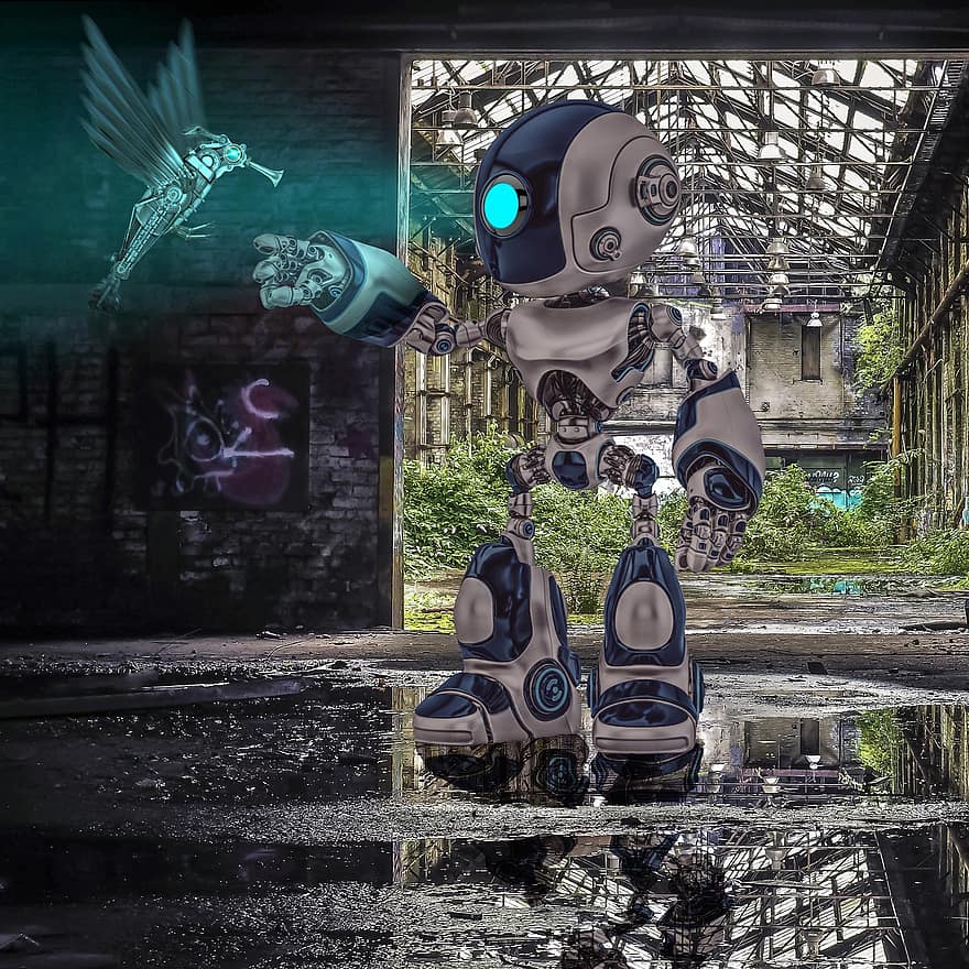 robot, burung, burung kolibri, aula, tempat yang hilang, kerusakan, ruang perdagangan, pabrik, gudang