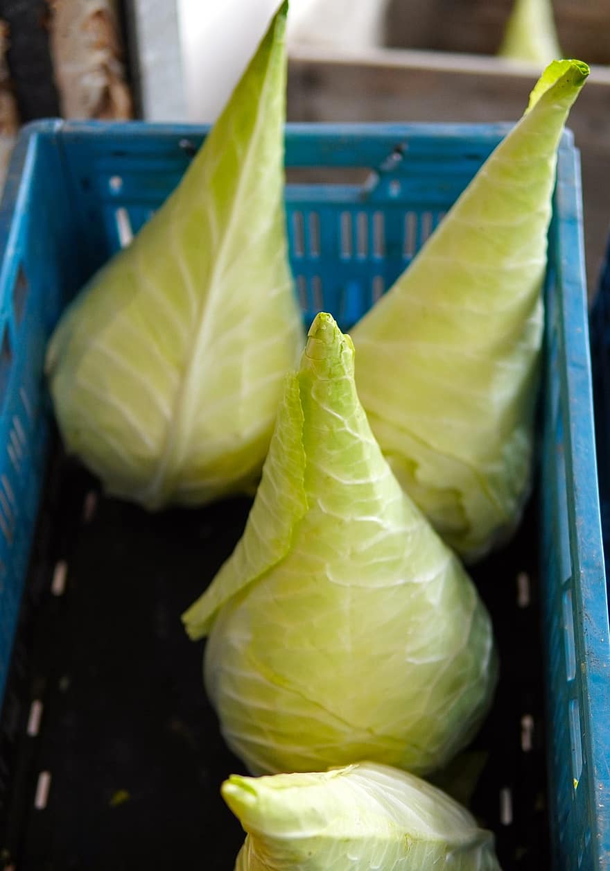 Cabbage, Vegetables, Food, Healthy, Vitamins, Harvest, Market