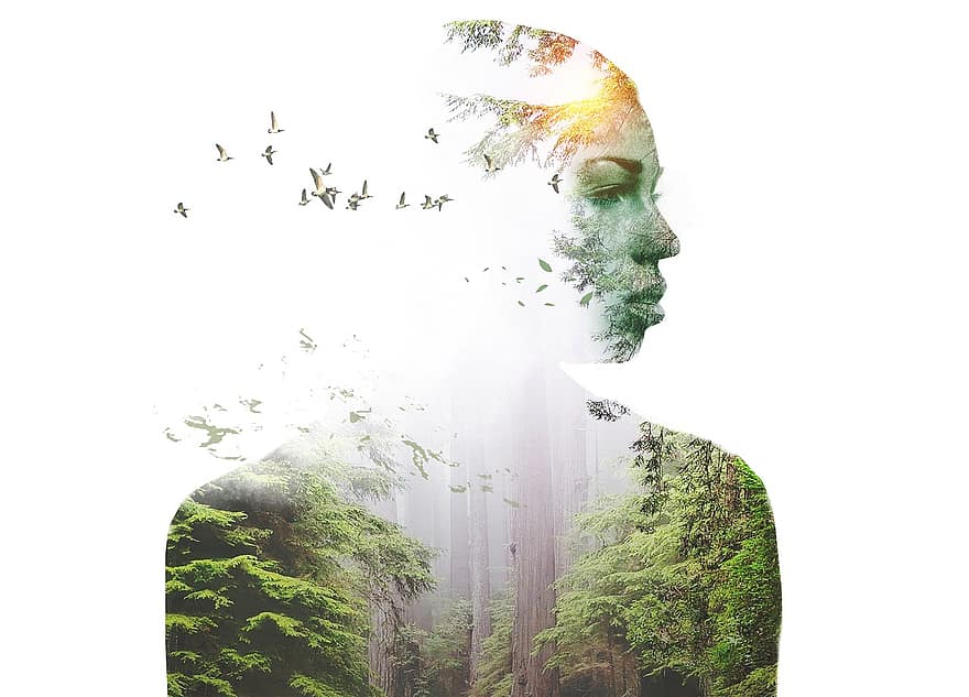 femme, fille, forêt, des arbres, feuilles, lumière, brouillard, portrait, double exposition, surréaliste, fantaisie