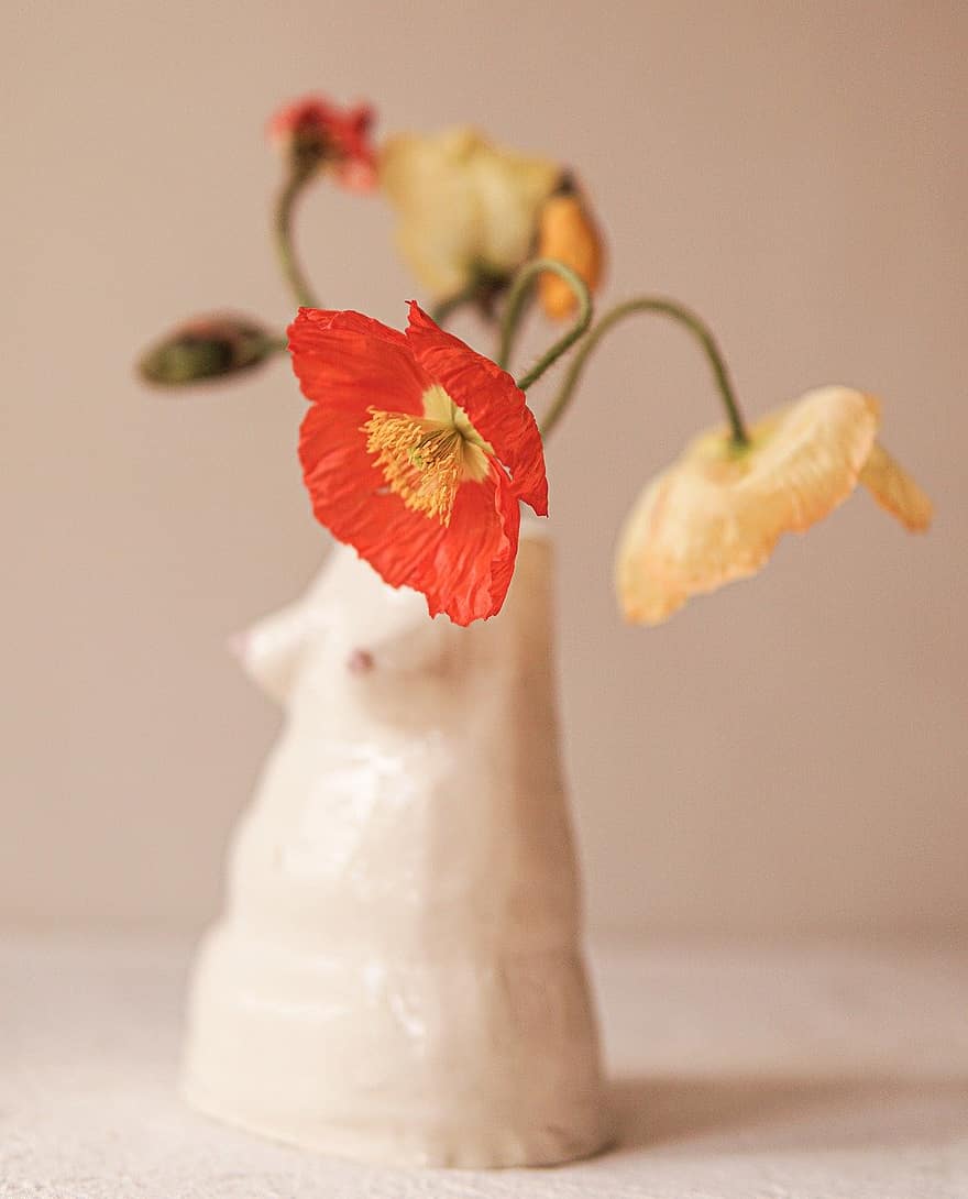 fleur, coquelicot, vase