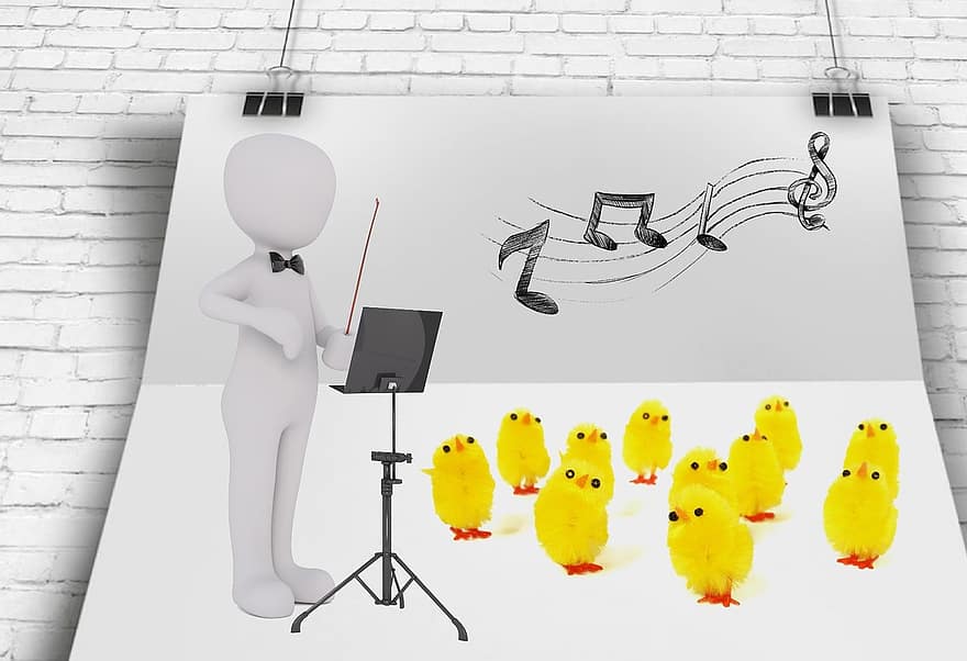 dirigent, manažer, kuřátko, vtipné kuřátko, Vést, rám, objednat, řídit, spravovat, animovat, Organizovat