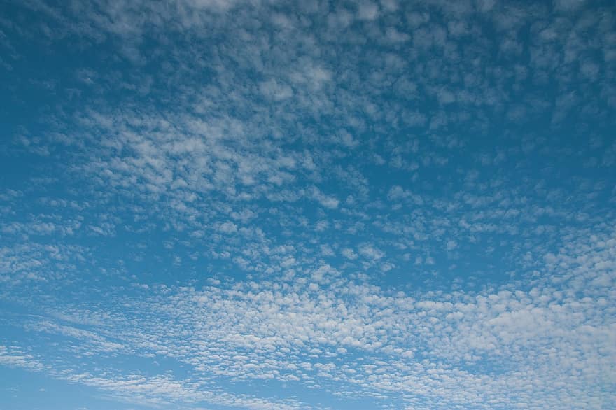cel, núvols, fons, núvols cirrus, cel blau, cloudscape, dia