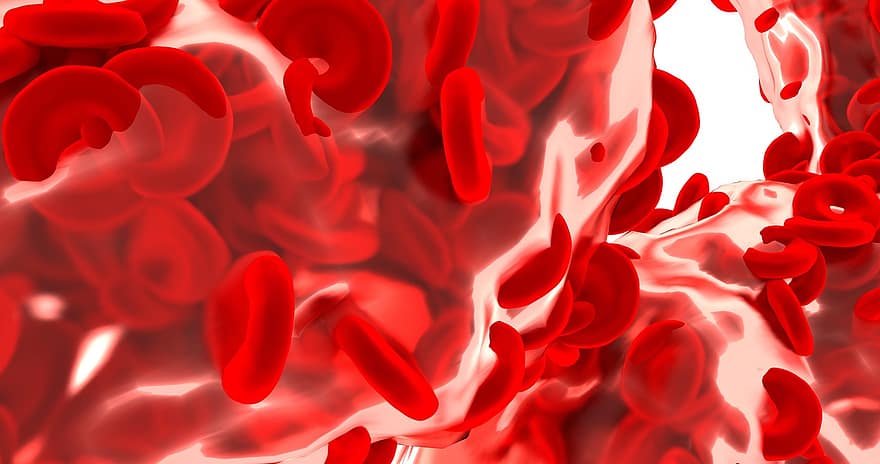sel darah merah, ilmu, kapal, bakteri, mikroba, merah, kuman, mikrobiologi, kesehatan, darah, hemoglobin