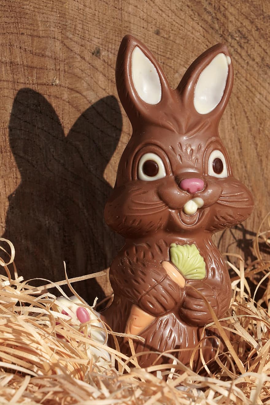 Chocolate, Calories, Sweet, Cocoa, Cacao, Flavor, Easter Bunny, Rabbit, Easter, cute, wood