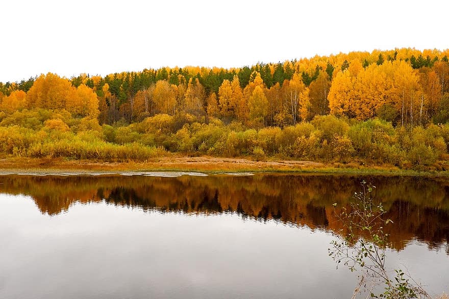 tó, ősz, természet
