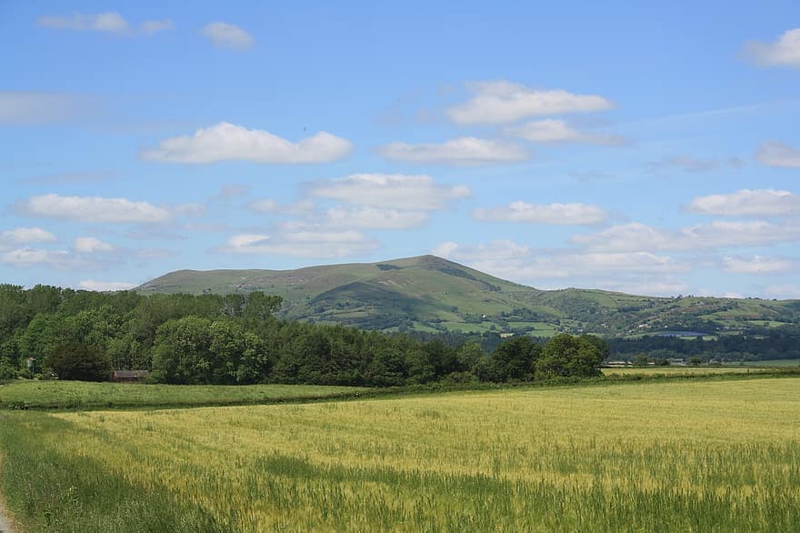 rural, campo, montañas, Inglaterra, Shropshire, paisaje, vista panorámica, colina