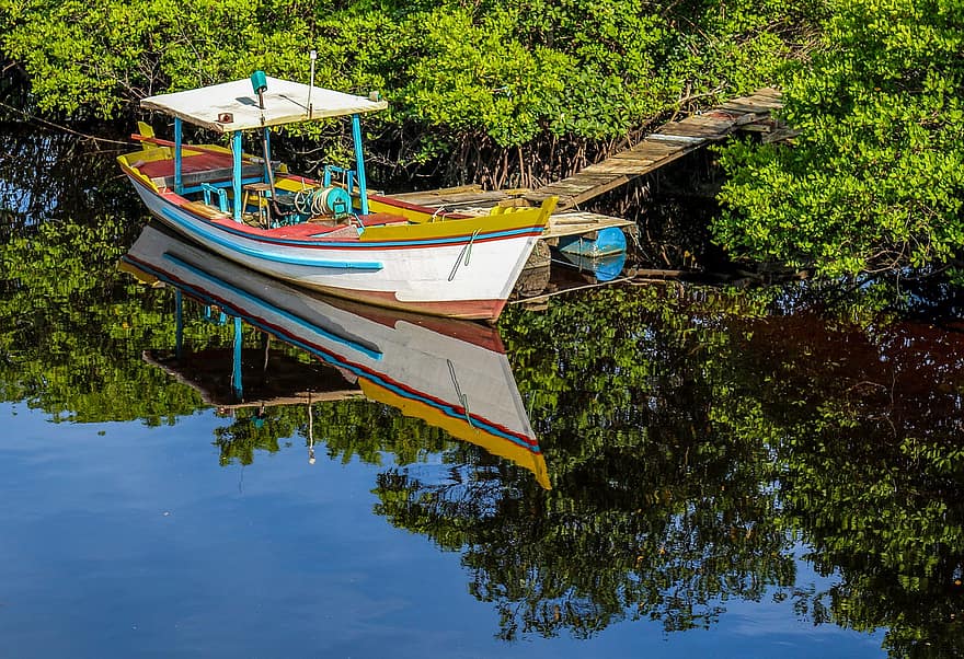 båd, flod, mangrover, vand, Busk, nautiske fartøj, sommer, træ, blå, fiskeri, transportmidler