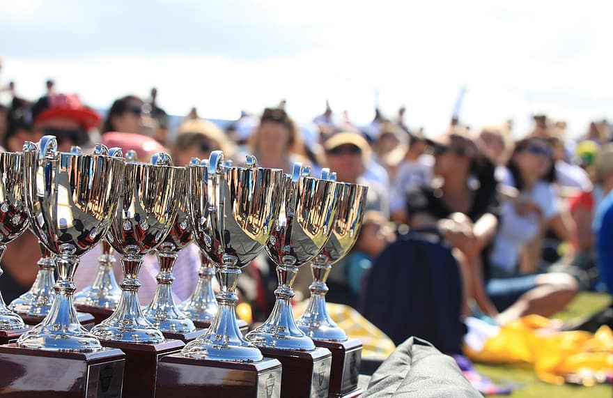 ट्रॉफी, पुरस्कार, इनाम, कप, चैंपियन, विजेता, उत्सव, संस्कृतियों, पुरुषों, टेबल, सफलता