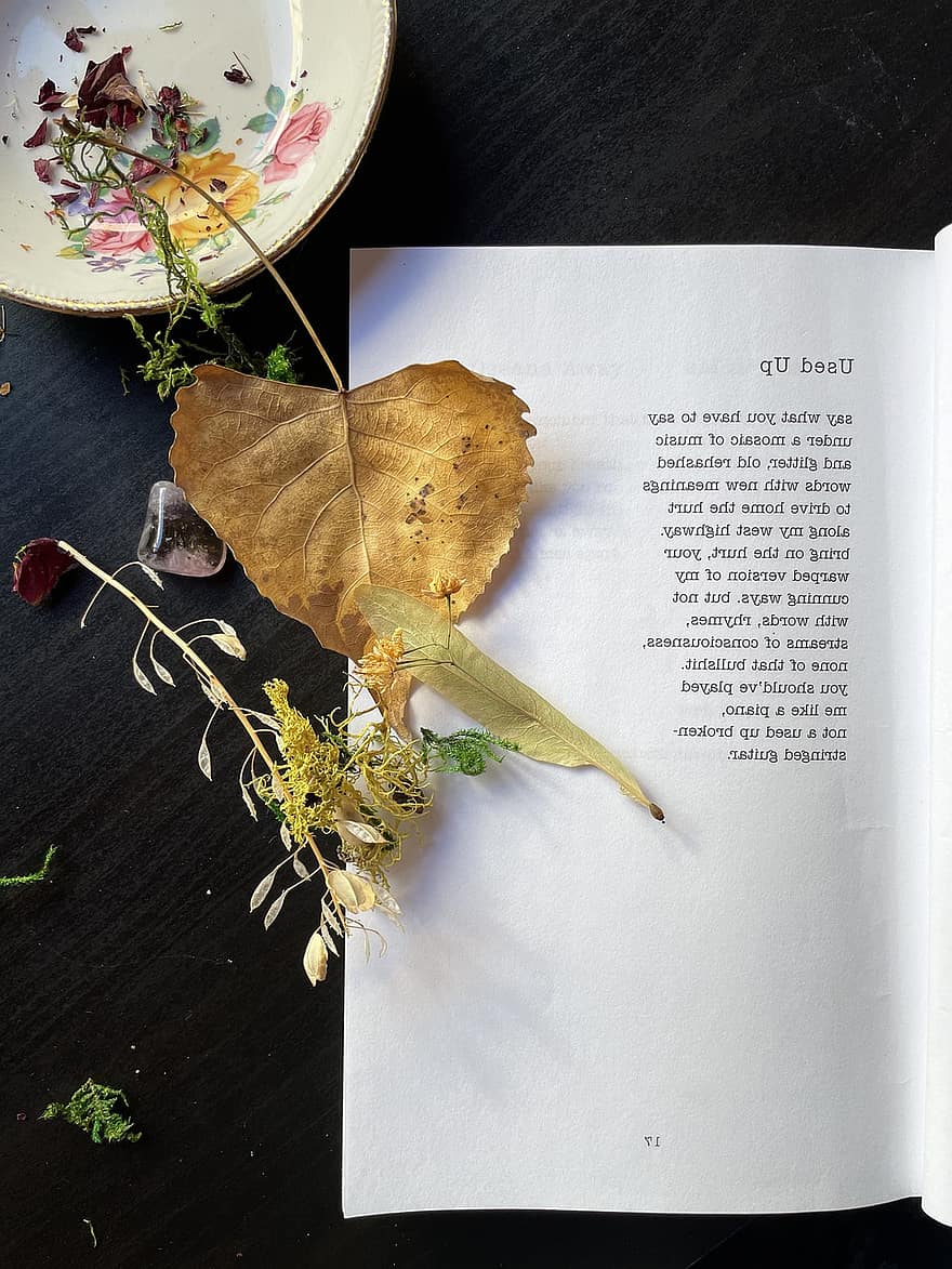 distesa piatta, libro, caffè, poesia, poesie, tazza, le foglie, lettura, scrittore, poeta, foglia