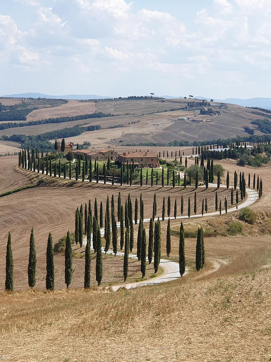 Road, Fields, Trees, Easter Holidays, Travel, Vacations, Tuscany, Italy, Nature